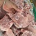 多肉母猪大排头