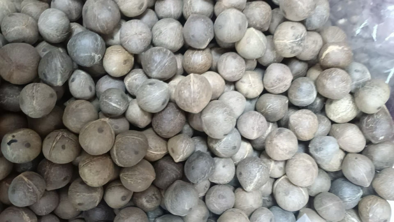 小椰皇，一手货源，粒粒精选
