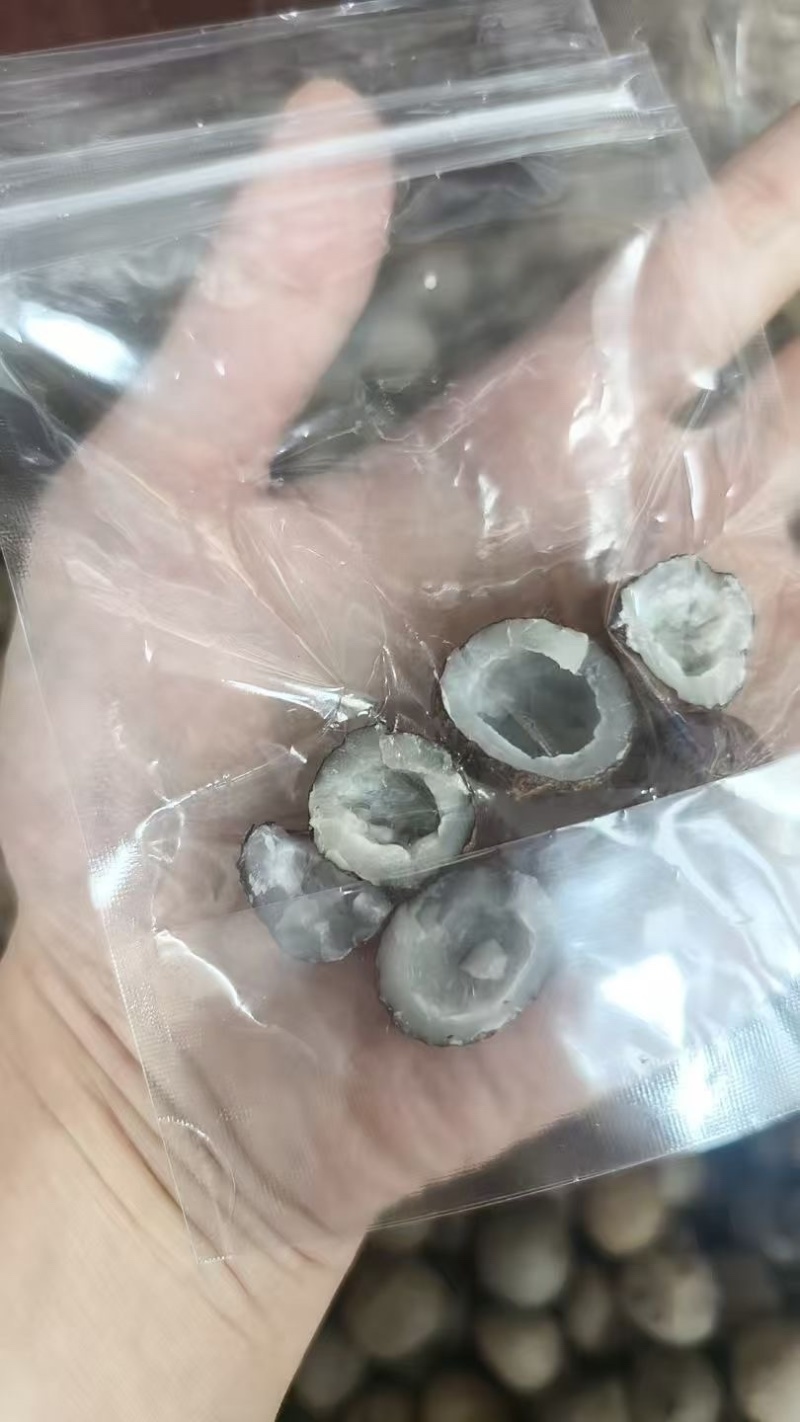 小椰皇，一手货源，粒粒精选
