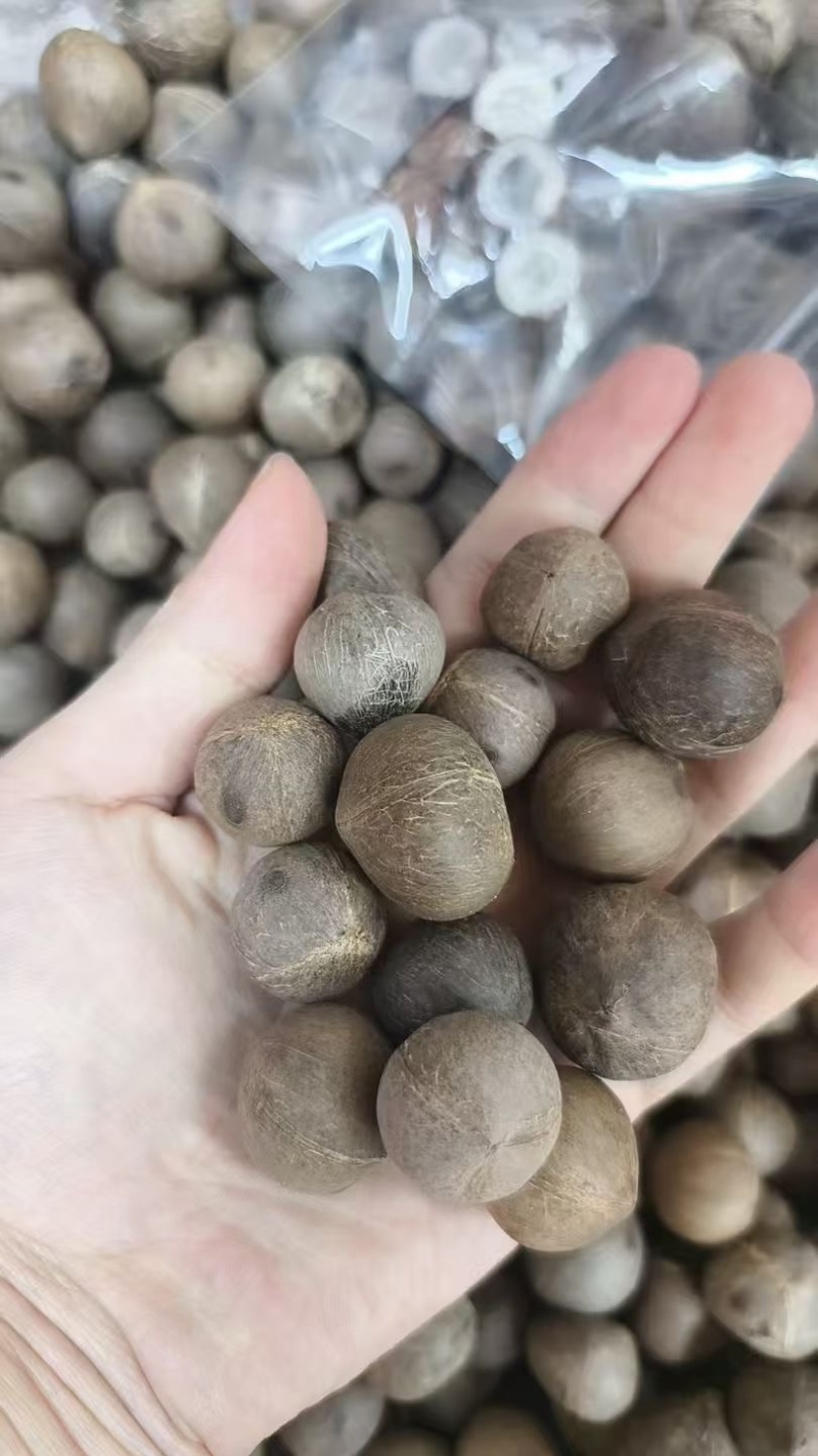 小椰皇，一手货源，粒粒精选