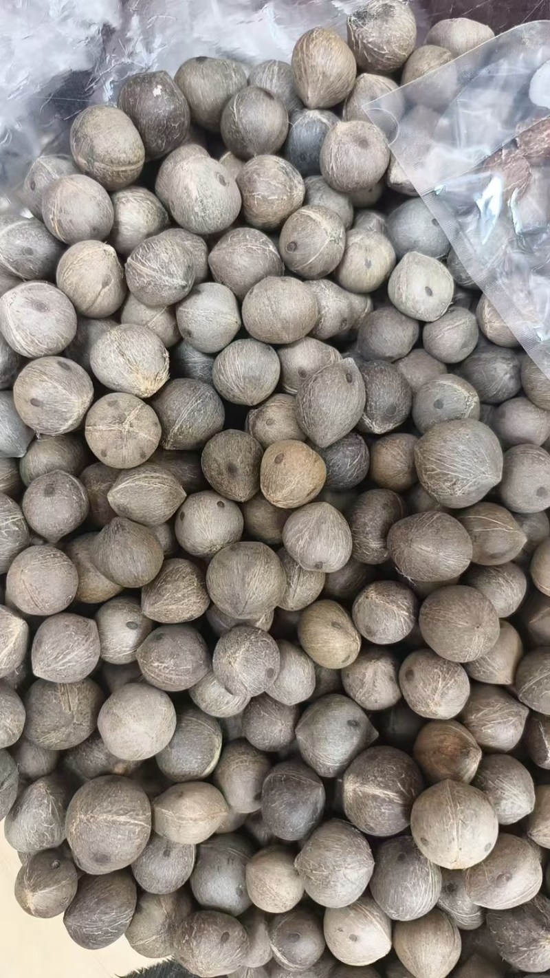 小椰皇，一手货源，粒粒精选