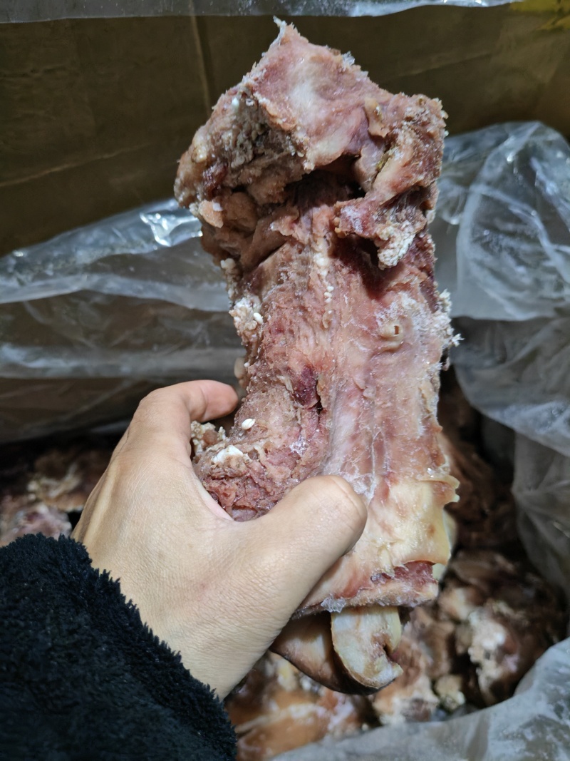 牛子肠，纯干货无水牛子肠牛子肠牛子肠牛子肠