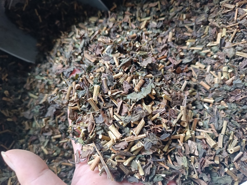 佩兰正品新货保质保量批发中药材源头货源量大从优