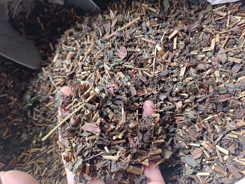 佩兰正品新货保质保量批发中药材源头货源量大从优