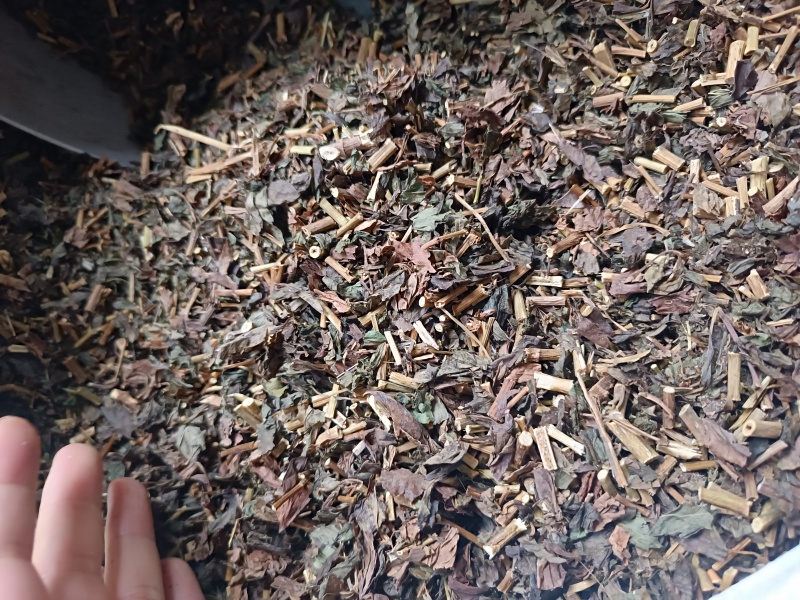 佩兰正品新货保质保量批发中药材源头货源量大从优