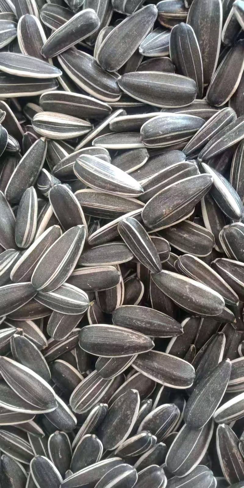 瓜子炒货源头厂家中籽原味