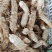 统货大规格-东北鸡头黄精统。150万斤大量出货。