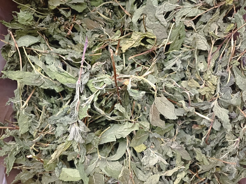 薄荷叶薄荷叶茶干薄荷叶食用新鲜干薄荷叶泡水清凉饮