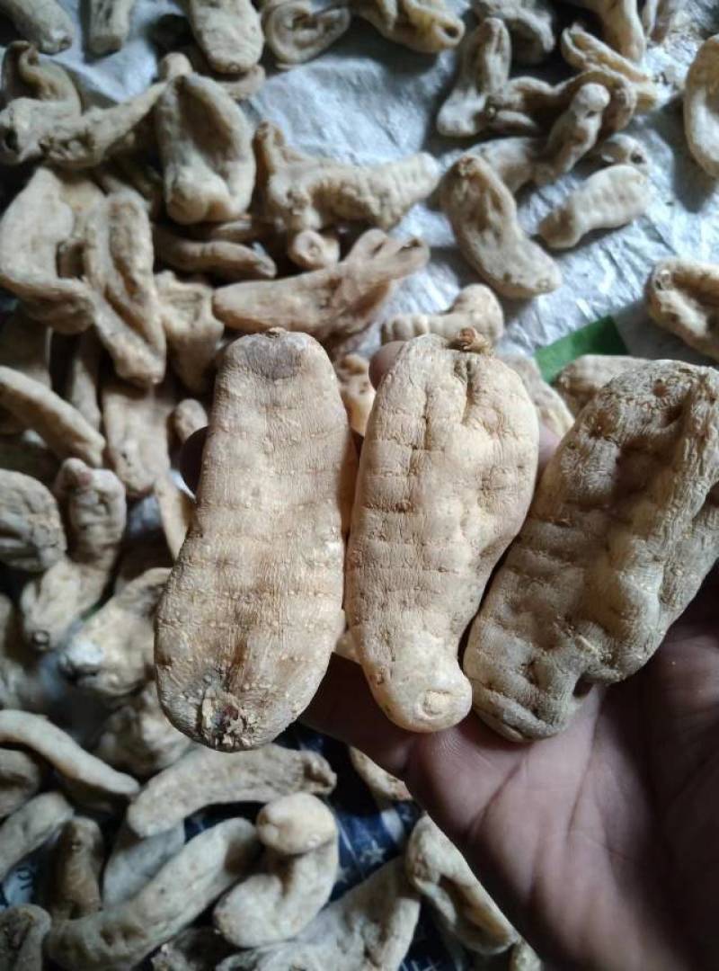 黄天麻