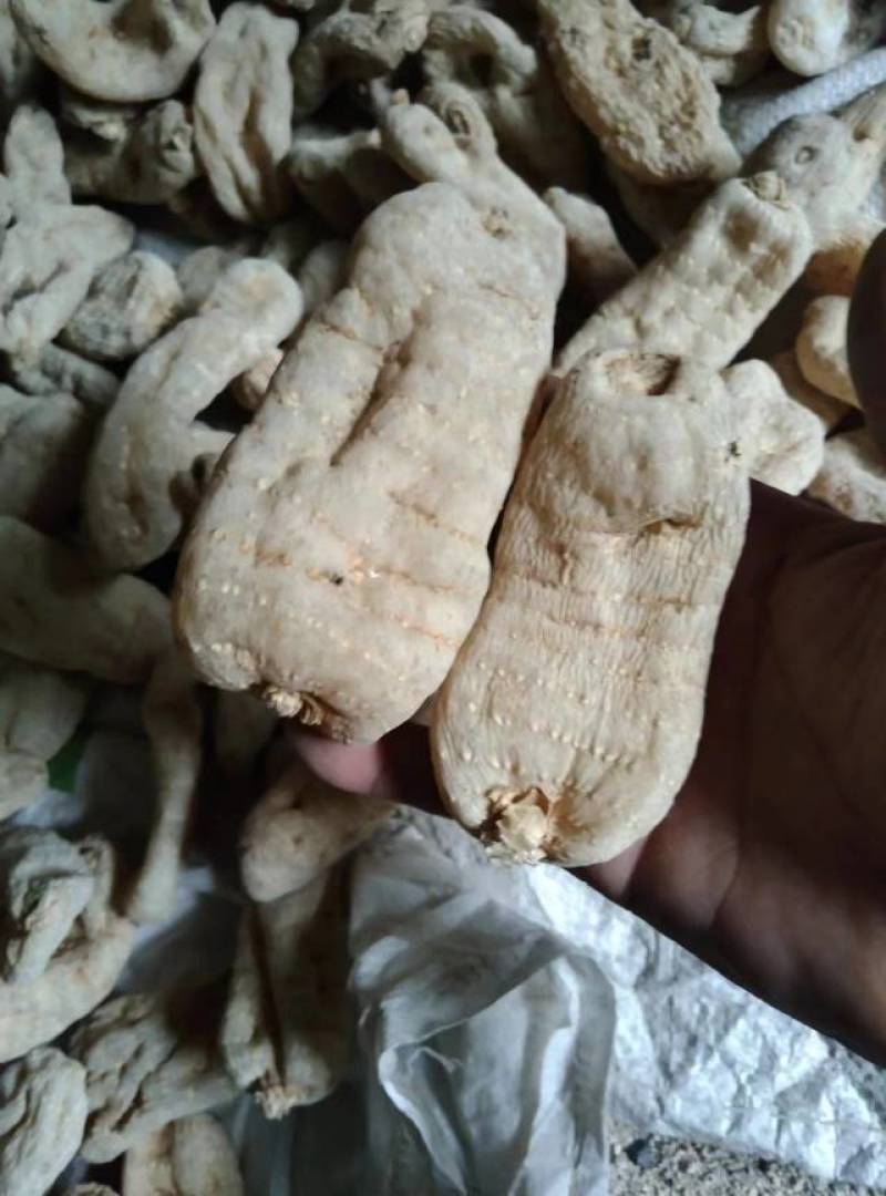 黄天麻