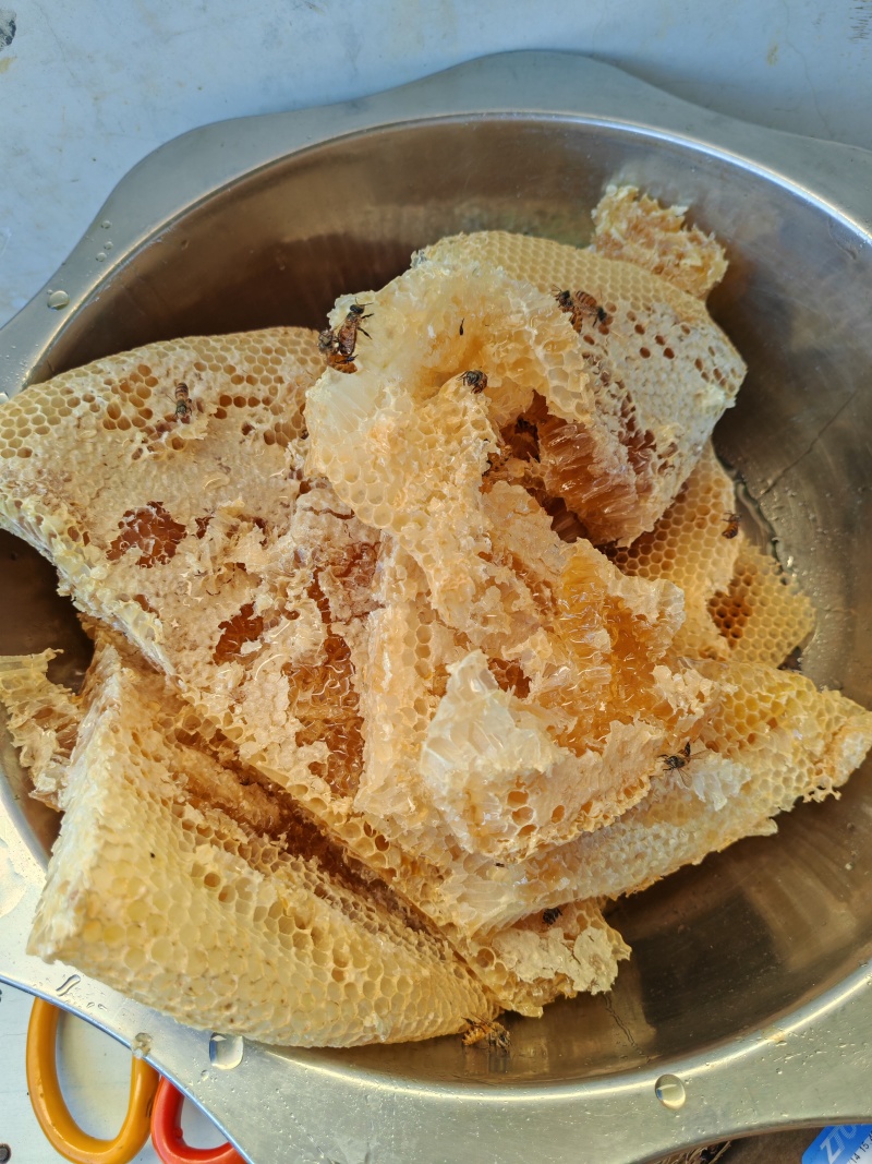 土养蜂蜜