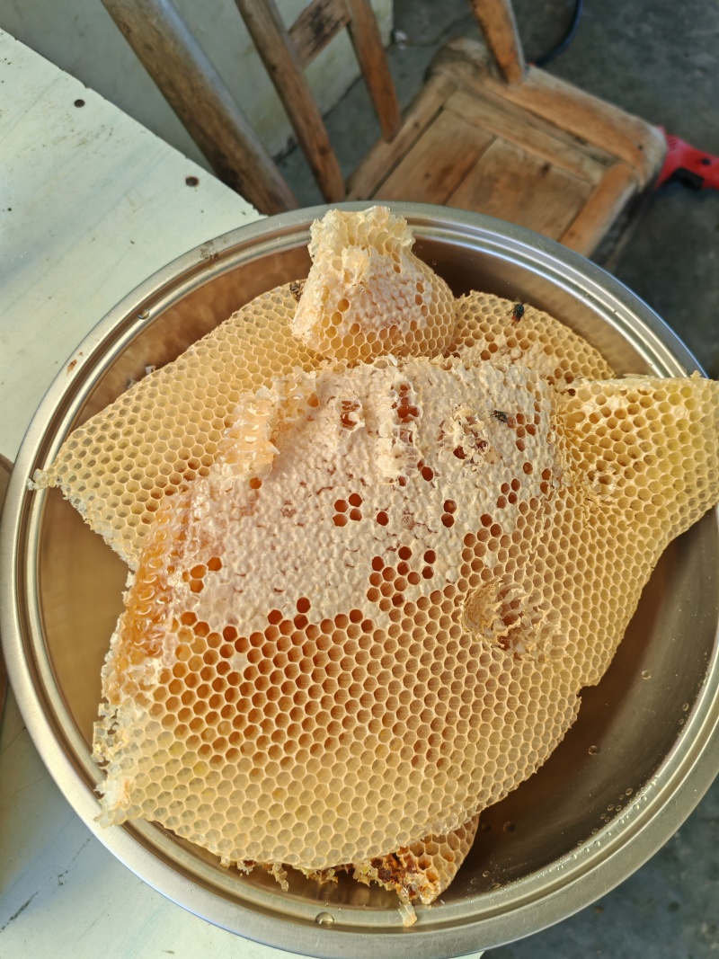 土养蜂蜜