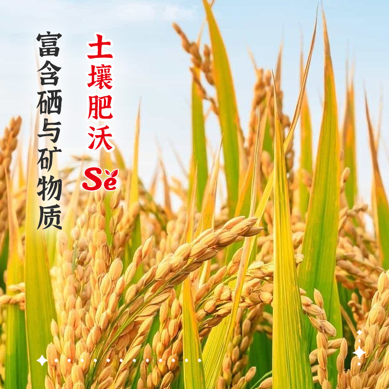 陇间柒月五月富硒大米5kg
