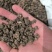 猫爪草野生猫抓草家种猫抓草水洗两边质量保证
