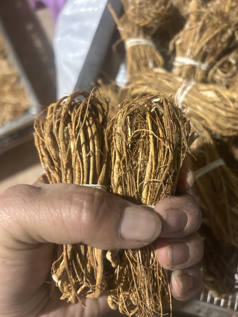 五指毛桃，小扎包心