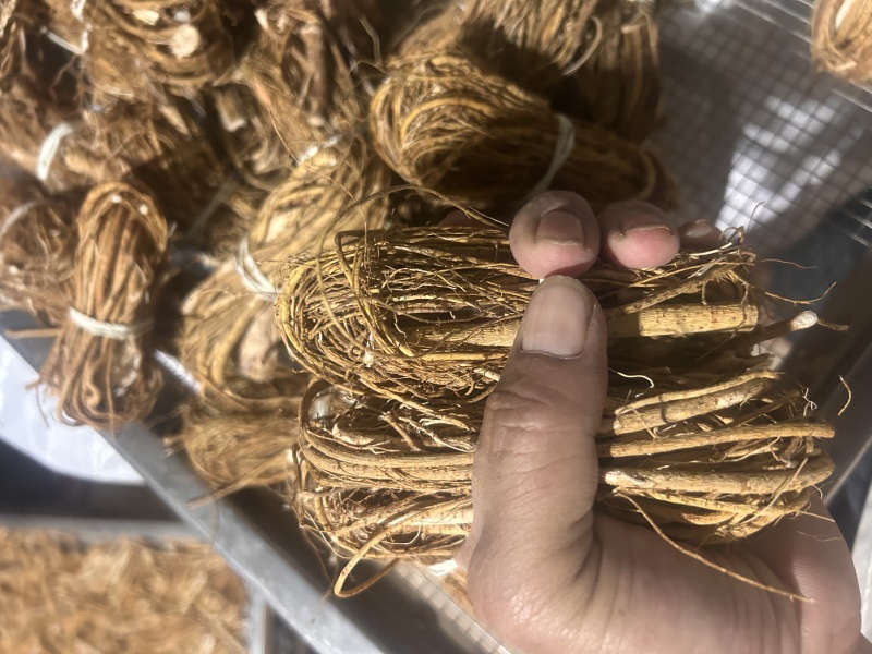 五指毛桃，小扎包心