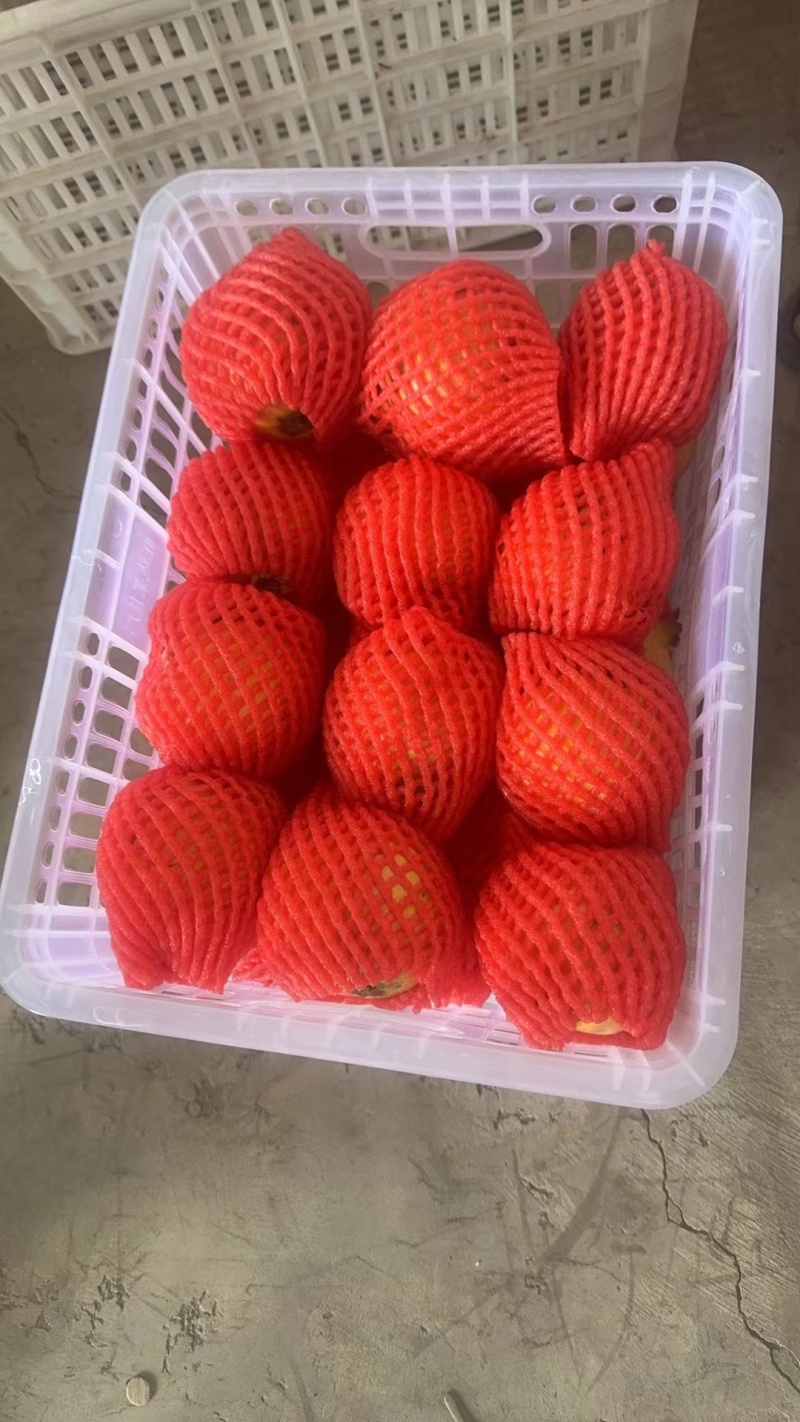 会理石榴产地直发货源充足商超品质甜美多汁量大优惠
