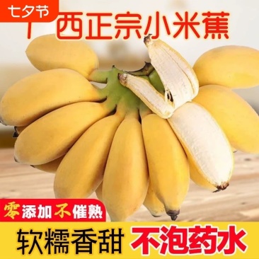小米蕉