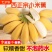 小米蕉
