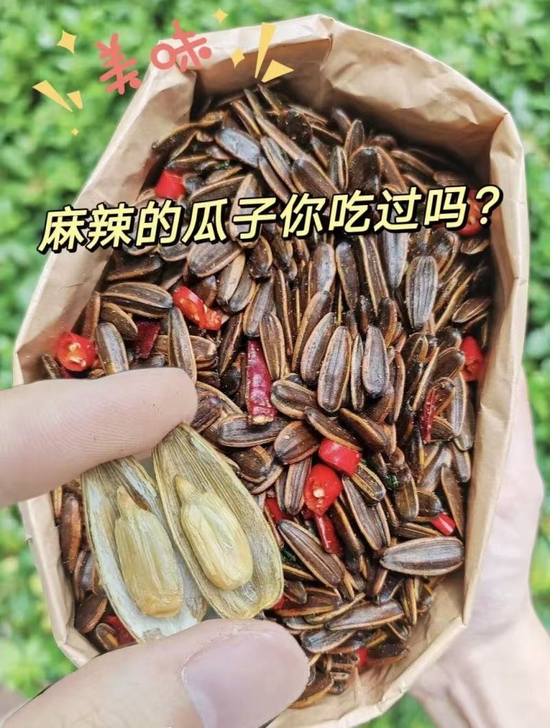 麻辣瓜子