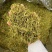 正品贵州白茶2025新茶高山正安白茶特级散装明前珍稀白茶