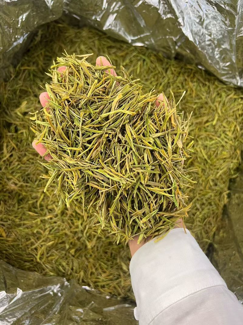 正品贵州白茶2025新茶高山正安白茶特级散装明前珍稀白茶