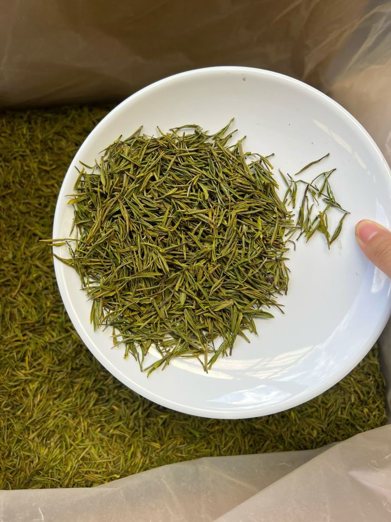 正品贵州白茶2025新茶高山正安白茶特级散装明前珍稀白茶