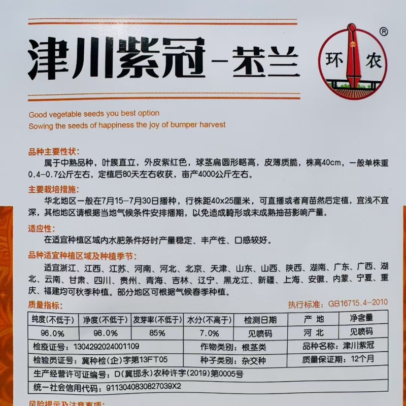 津川紫冠苤兰种子中熟紫红皮苤蓝种子薄皮质脆紫芥蓝种子