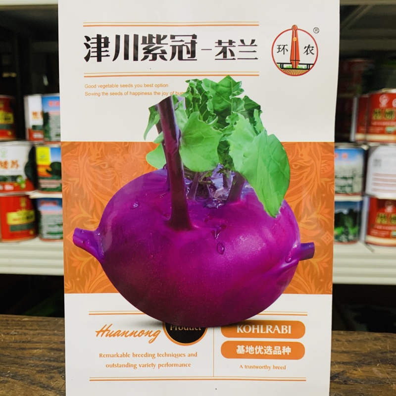 津川紫冠苤兰种子中熟紫红皮苤蓝种子薄皮质脆紫芥蓝种子