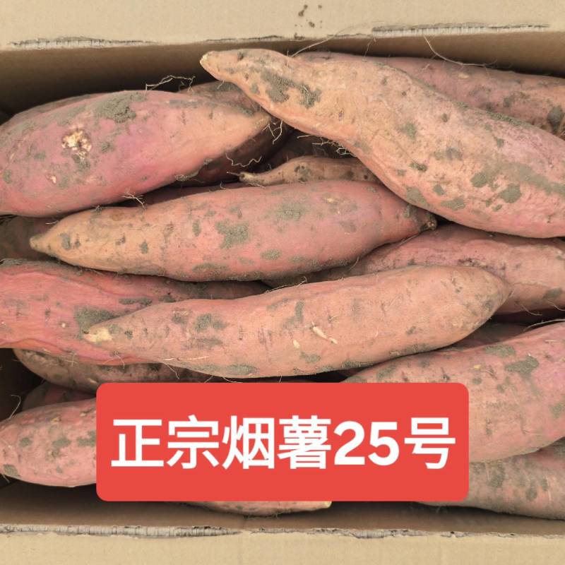 正宗烟薯25号甜度高，形状好！