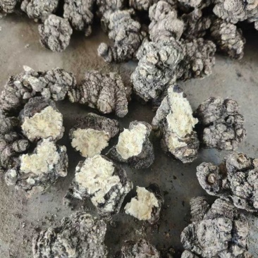 【推荐】四川乐山川芎大量供应可加工，分选，切片等