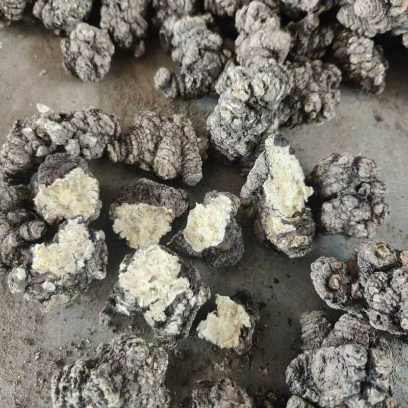 【推荐】四川乐山川芎大量供应可加工，分选，切片等