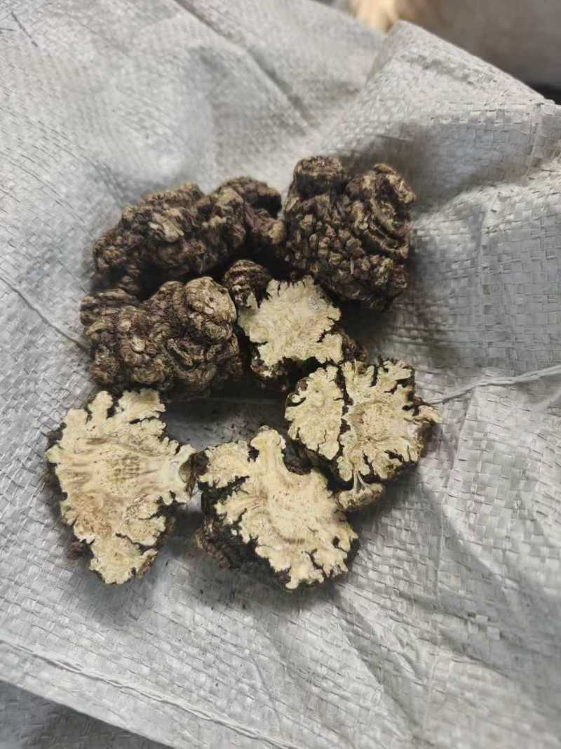 【推荐】四川乐山川芎大量供应可加工，分选，切片等