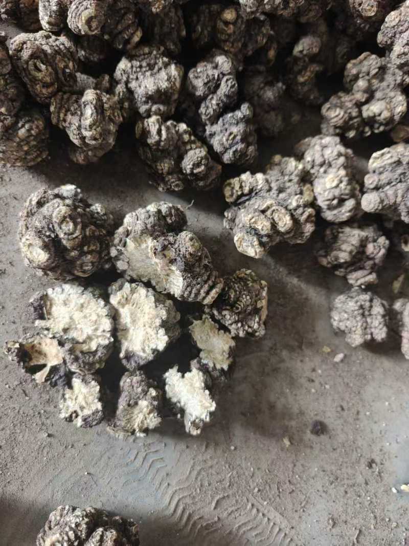 【推荐】四川乐山川芎大量供应可加工，分选，切片等