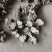 【推荐】四川乐山川芎大量供应可加工，分选，切片等