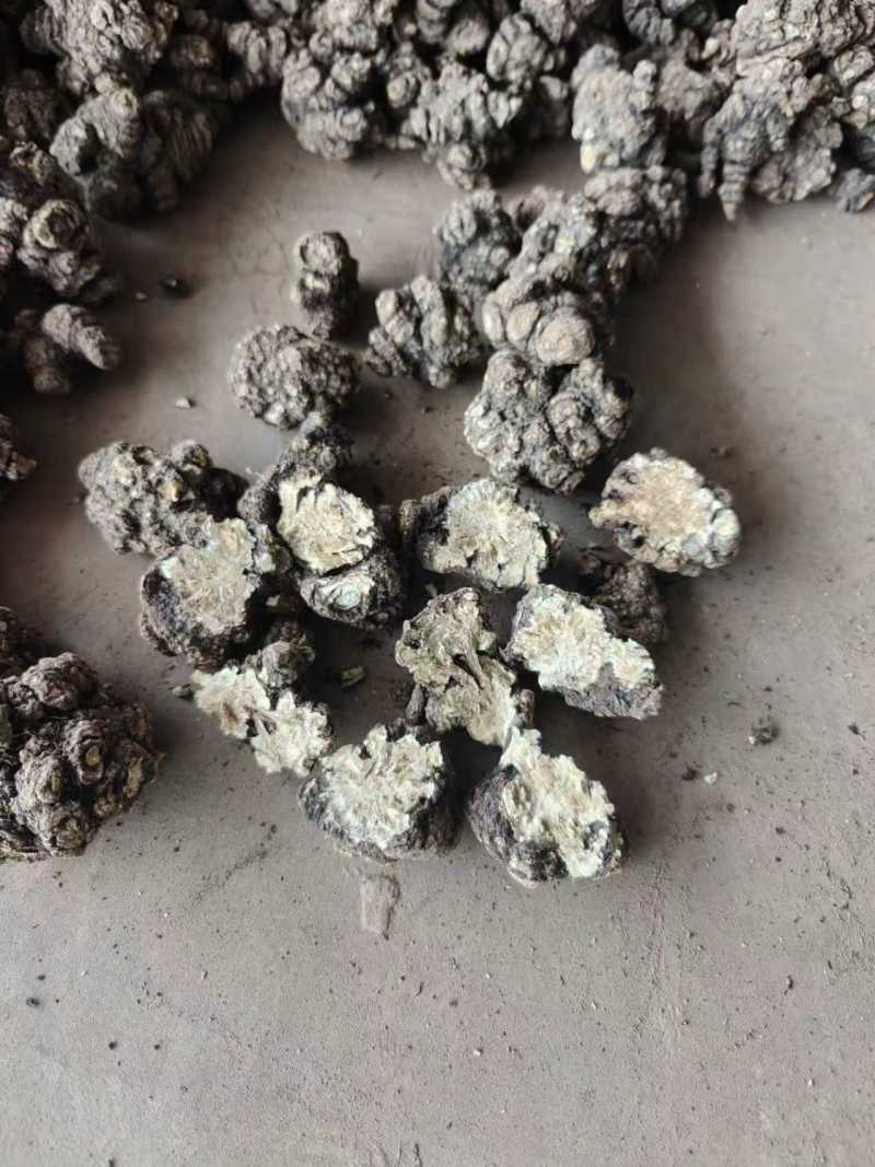 【推荐】四川乐山川芎大量供应可加工，分选，切片等