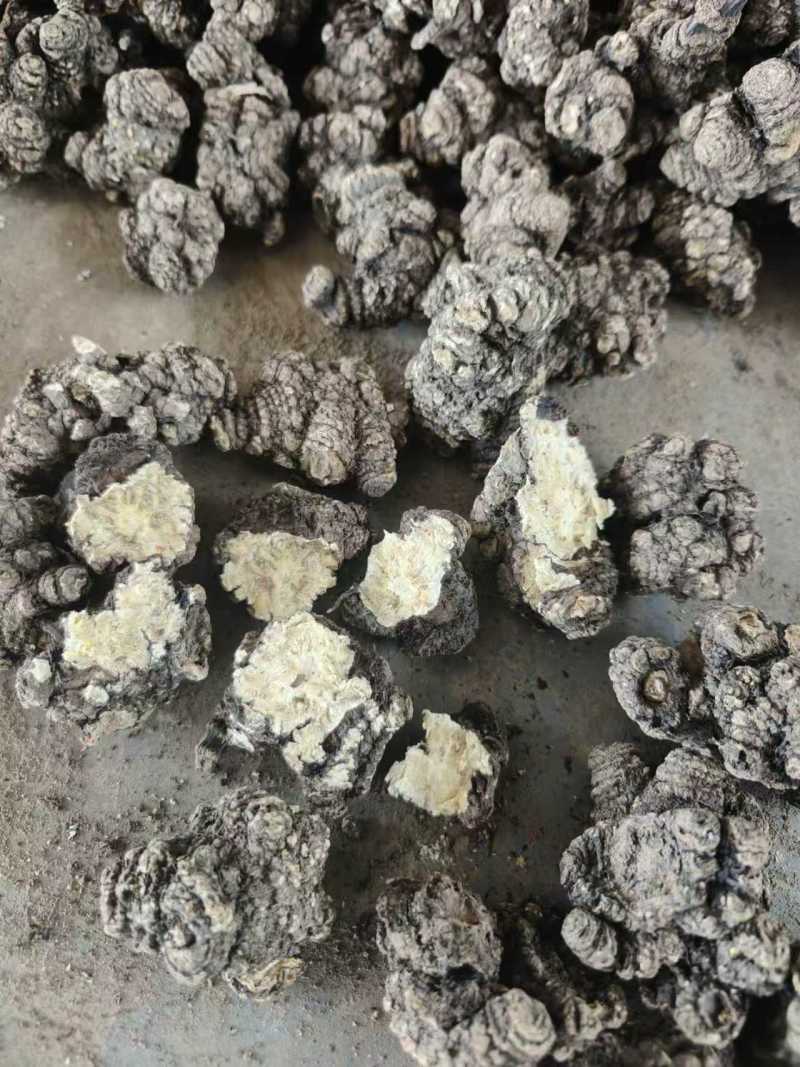 【推荐】四川乐山川芎大量供应可加工，分选，切片等