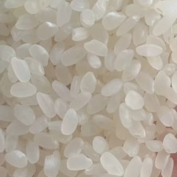 兴化大米苏梗现款现货量大从优