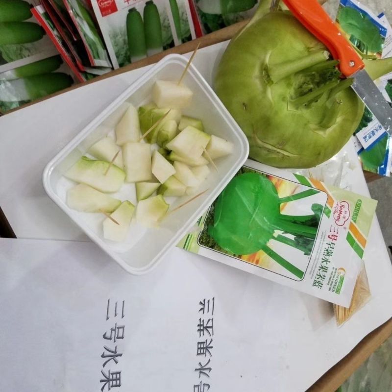 科萌二号早熟水果苤蓝种子翠绿扁圆球芥蓝种籽脆甜春秋季蔬菜