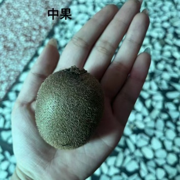 丹东猕猴桃，