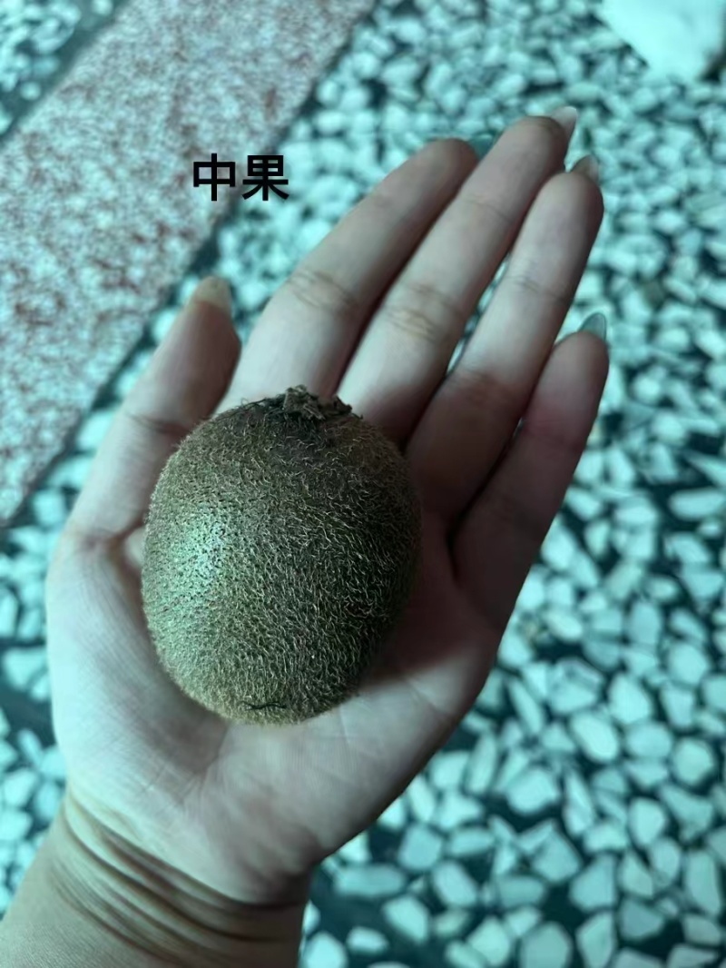 丹东猕猴桃，