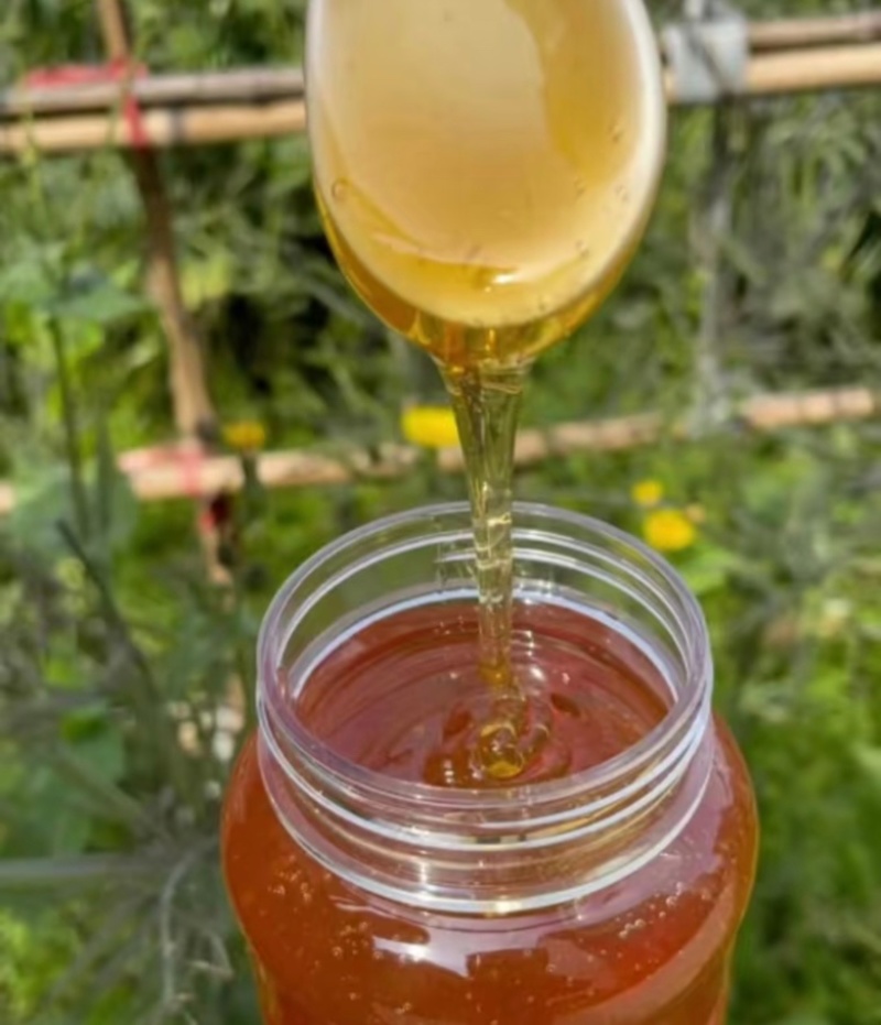 正宗云南蜂蜜，自养山林中的新鲜蜂蜜，品质保证还包邮！