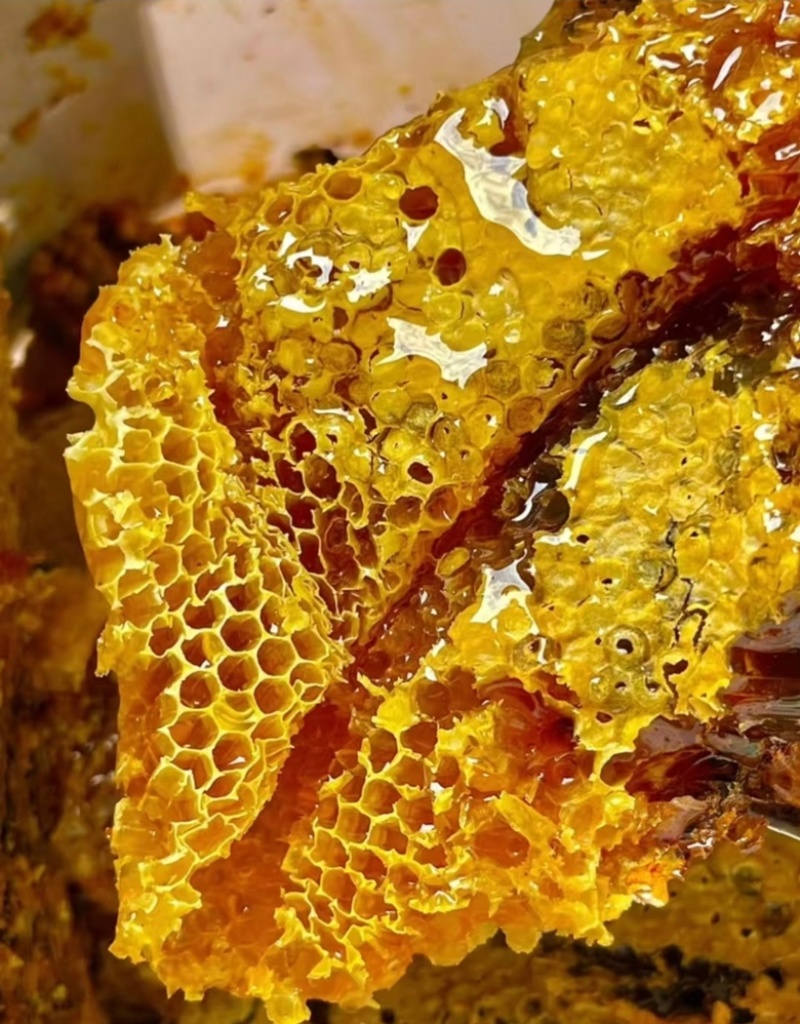 正宗云南蜂蜜，自养山林中的新鲜蜂蜜，品质保证还包邮！
