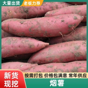 河北烟薯25产地直发对接全国市场电商商超优质蜜薯