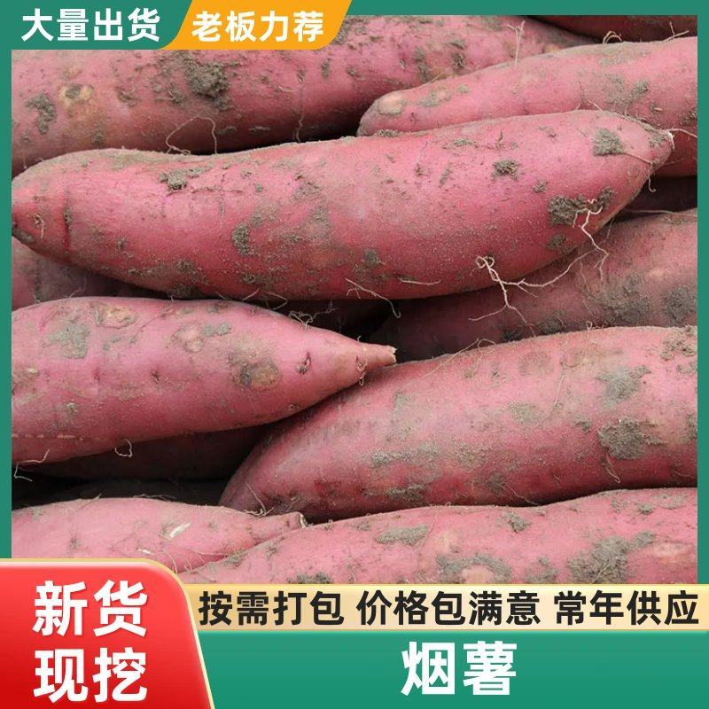 河北烟薯25产地直发对接全国市场电商商超优质蜜薯