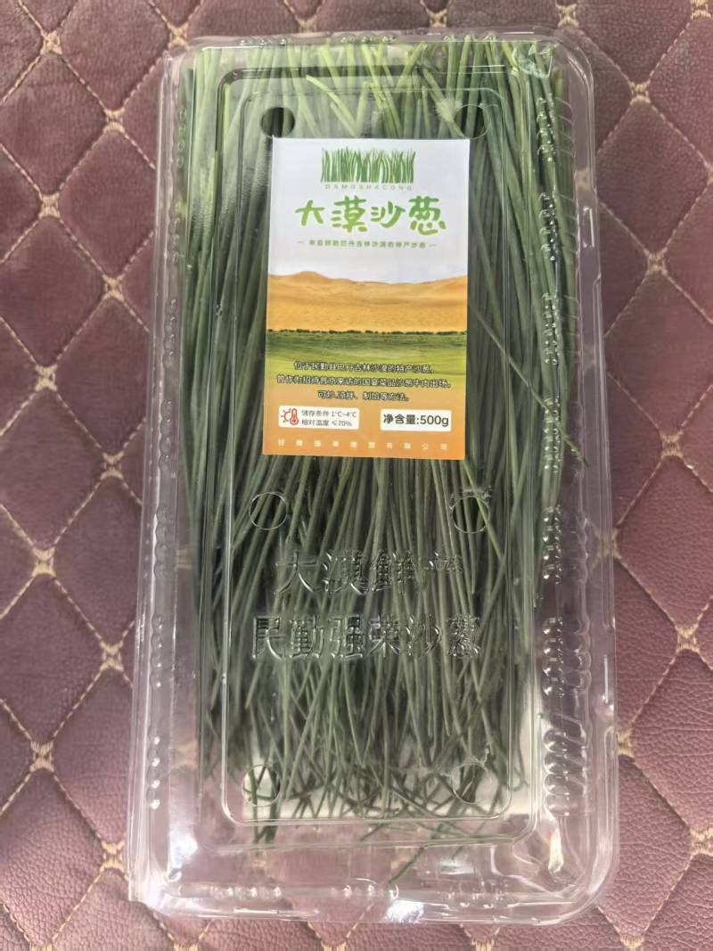 甘肃省武威市民勤县特色菜，精品沙葱，现货现发