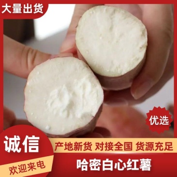 哈密红薯分糯香甜白心红薯全国发货产地直发精品红薯