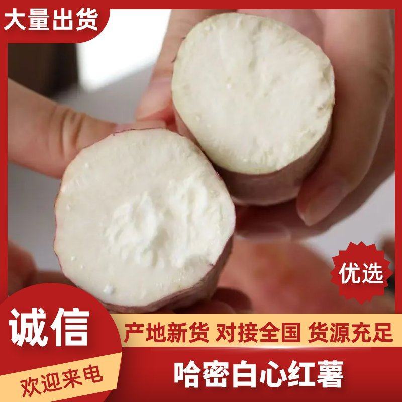 哈密红薯分糯香甜白心红薯全国发货产地直发精品红薯