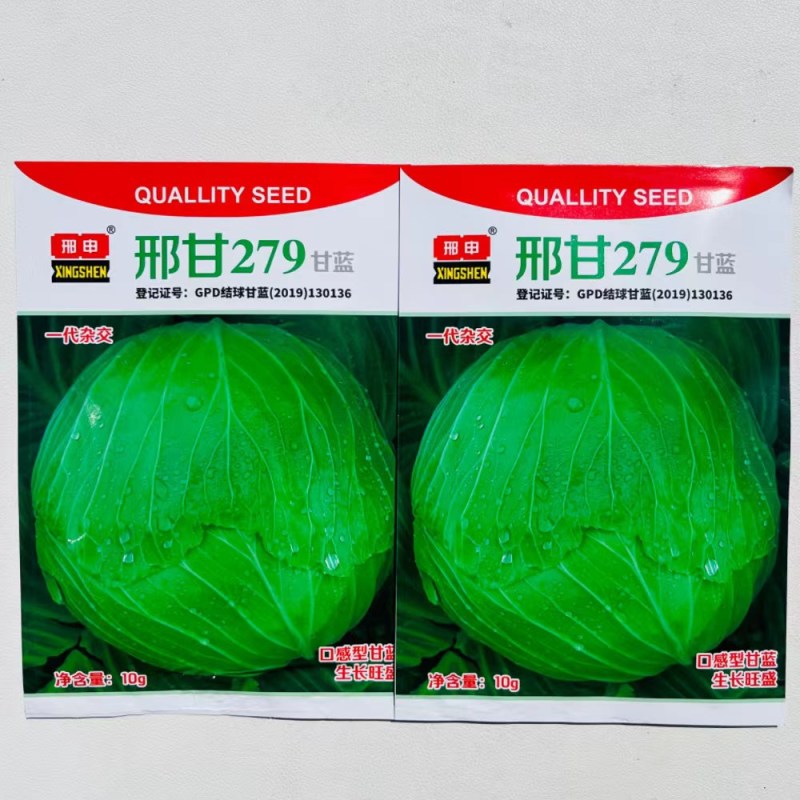 邢申刑甘279口感型甘蓝种子中熟包菜种籽杂交水果甘蓝种子