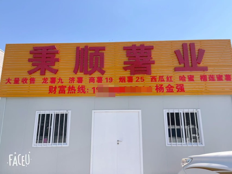 河北烟薯25产地直发对接全国市场电商商超优质蜜薯